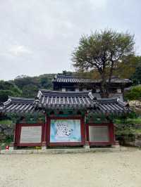 양평에 이렇게 좋은 계곡과 산사가🌿