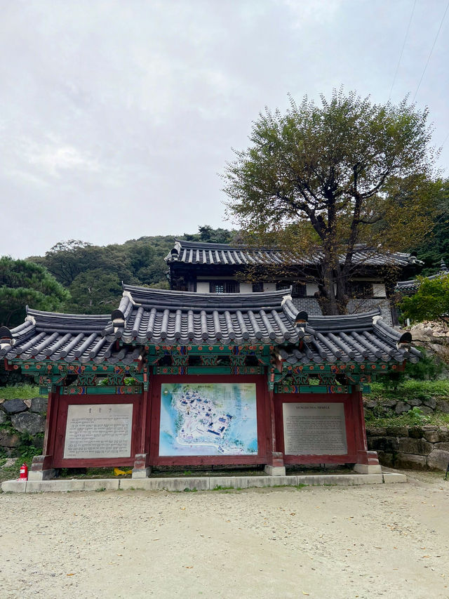 양평에 이렇게 좋은 계곡과 산사가🌿