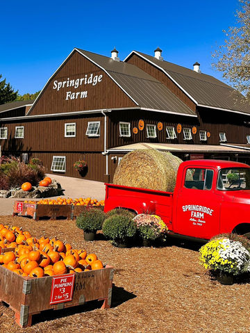 玩轉米爾頓田園風光 玩轉米爾頓田園風光