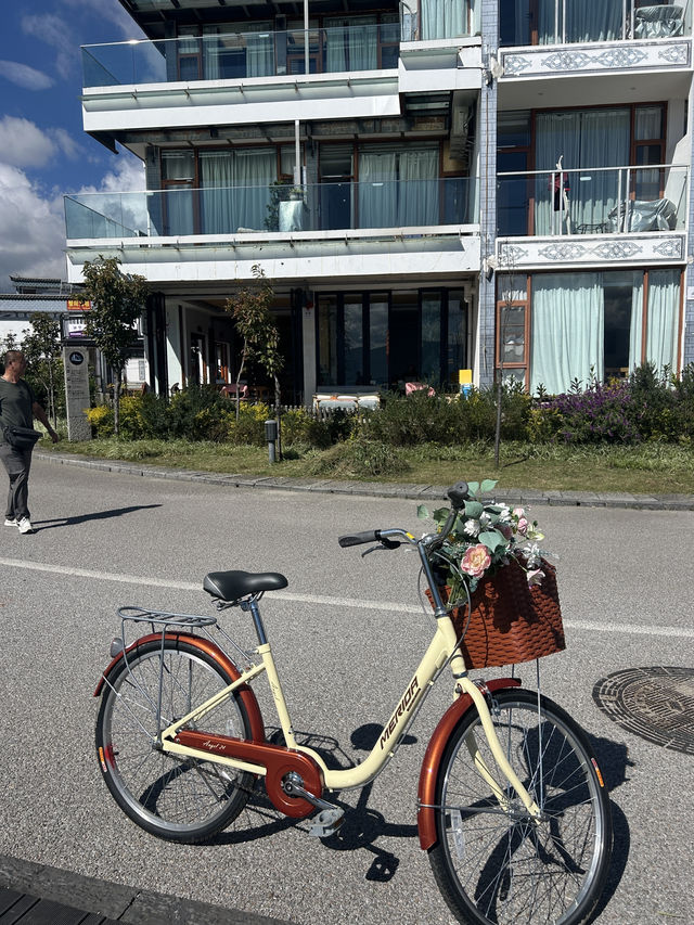 Erhai Lake Loop🚲