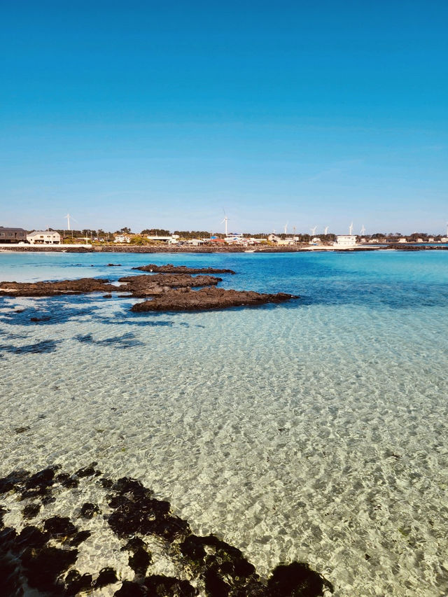 The Quiet Charm of Emerald Waters