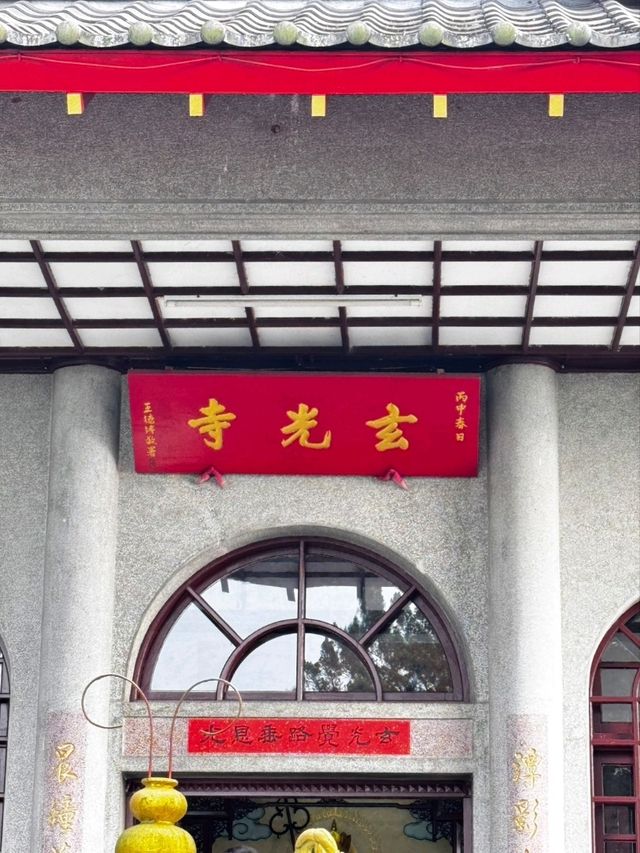 日月潭與蛙共度美好時光