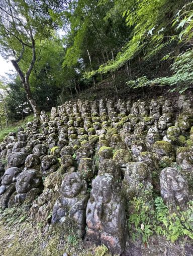 Kyoto's Arashiyama: Bamboo Dreams & Hidden Temple Vibes