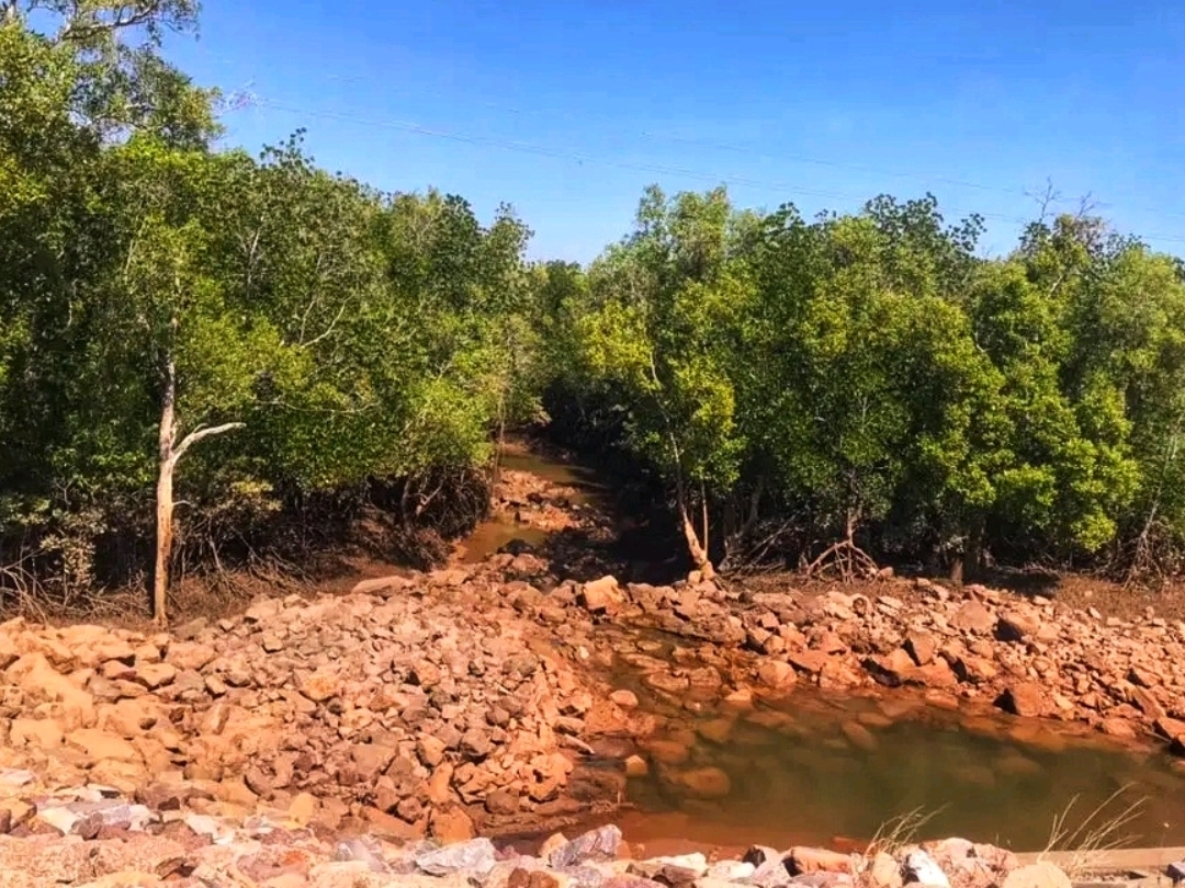 🌿🦋 Charles Darwin National Park – Where Nature Meets History