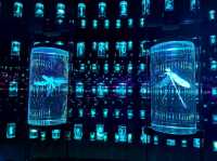 Innovation and Imagination Come Alive at the Museum of the Future