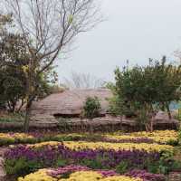 천천히 성길 오르고, 감나무 앞에서 가을 사진 한 컷