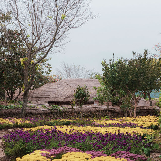 천천히 성길 오르고, 감나무 앞에서 가을 사진 한 컷 천천히 성길 오르고, 감나무 앞에서 가을 사진 한 컷