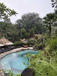 【バリ島おすすめホテル🇮🇩】ウブドエリア　チャンプアンホテル🌴✨