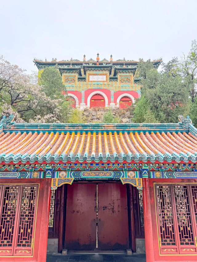 พระราชวังฤดูร้อน (Summer Palace) พระราชวังฤดูร้อน (Summer Palace)