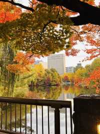 나카지마공원의 아침