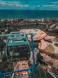 The Majestic Turtle of the Sea Inside VinWonders Phu Quoc