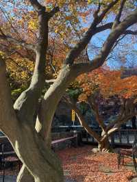 아차산과 워커힐 길을 오가며