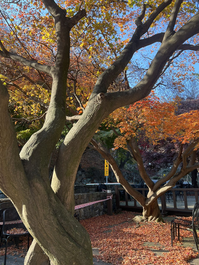 아차산과 워커힐 길을 오가며