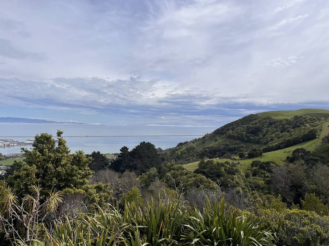 New Zealand Tourism 🤍Centre of New Zealand Monument