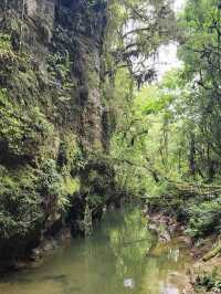 Waitomo Glowworm Caves