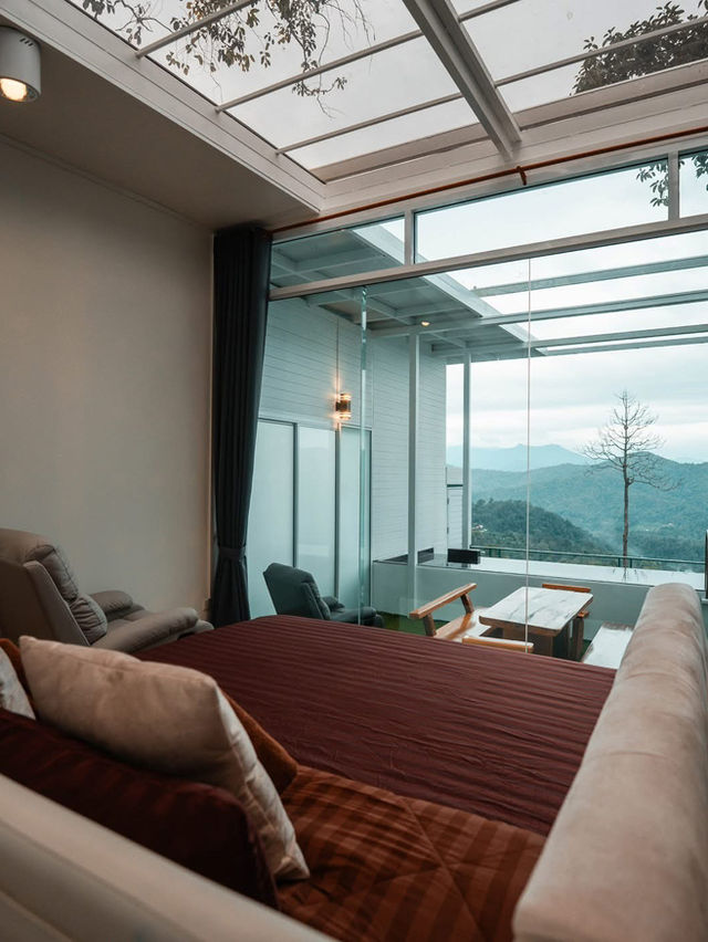 " ป่าเหนือหมอก ม่อนเงาะ Pa Nua Mok " 