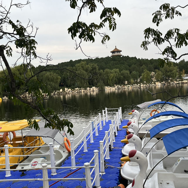 Calm Before the Climb: The Perfect Taishan Trio