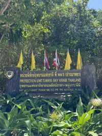 皮皮島、瑪雅灣、猴子島、Khai島:普吉海上四大夢幻景點一次玩到飽