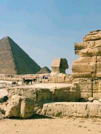 사막의 공기와 고대의 시간이 함께 흐르는 하루 여행 일정