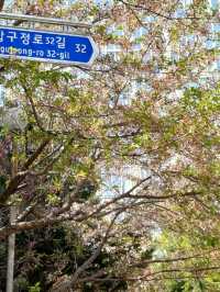 在安靜的巷弄裡,當個無聲的過客