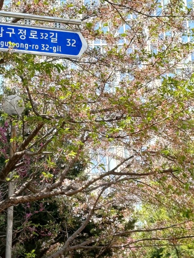 在安靜的巷弄裡,當個無聲的過客 在安靜的巷弄裡,當個無聲的過客