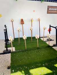 A Festive Family Morning at Paradise Of Deer