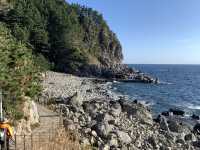 Blue Bridge Magic🌊