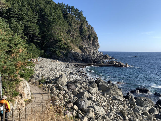 Blue Bridge Magic🌊 Blue Bridge Magic🌊