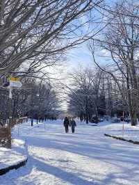 用雙眼、雙腳走進北海道的雪白世界裡