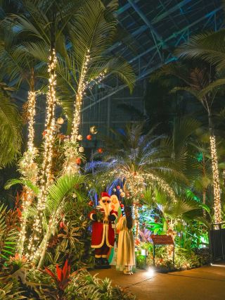 คริสต์มาสในคืนกลางฤดูร้อน ณ สวนรุกขชาติ 🎄❤️