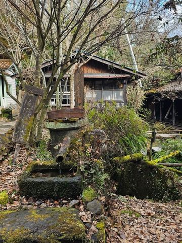 《阿蘇宮地湧泉水巡禮，每一口水都幸福》