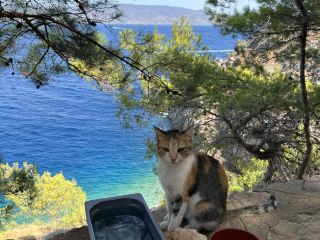 เกาะห่างไกลในกรีซที่แนะนำ: ไฮดรา