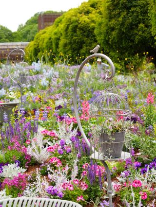 [Golden Week Recommended Spots Part 4]  Fun for the whole family with gorgeous flowers and exciting events.