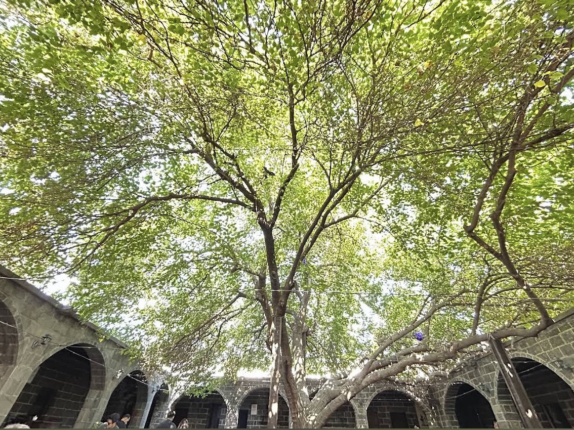 Some recommendations for Diyarbakır trip🤩