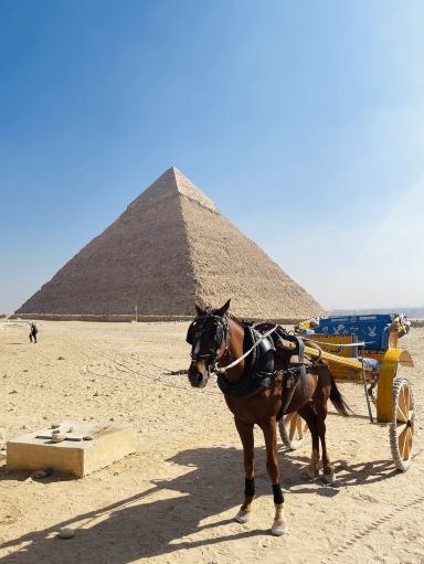 ファラオの国へ。4千年の時を超えるエジプトの旅。 | Trip.com アスワン