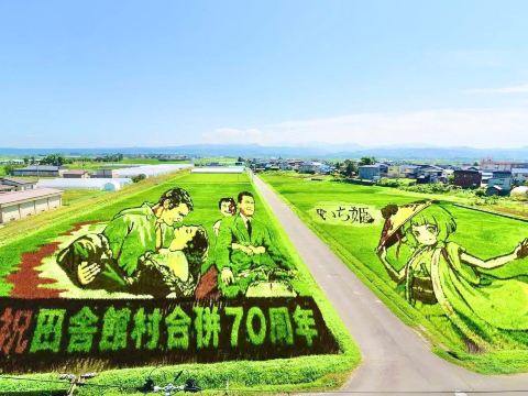 青森では毎夏、田んぼが巨大なアート作品に変わります。 | Trip.com 青森県