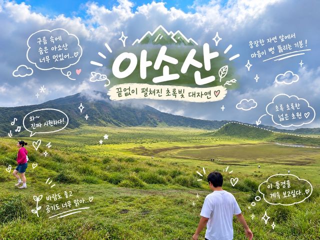 구마모토 근교 필수 코스, 대자연을 품은 아소산 드라이브 & 다이콘보 관람기 구마모토 근교 필수 코스, 대자연을 품은 아소산 드라이브 & 다이콘보 관람기