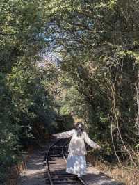 동화같은 숲속 마을에서 힐링하기🌿🛤