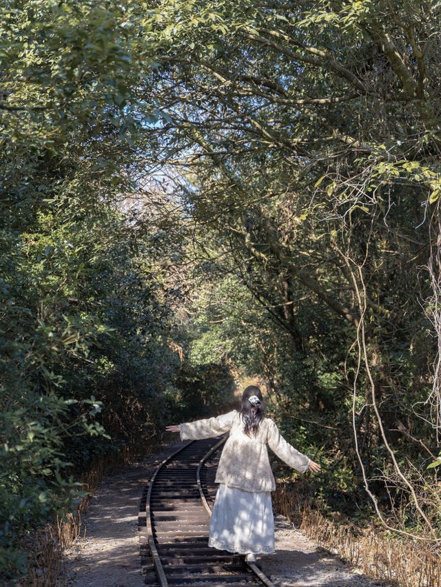 동화같은 숲속 마을에서 힐링하기🌿🛤