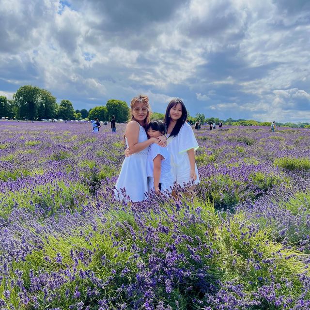 Lost in a sea of lavender 💜🌿 