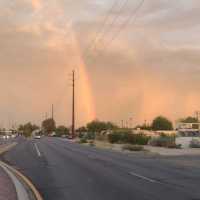 Post Monsoon in Tucson,Az.