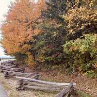 Fall beauty on the La Sal Mountain, Utah