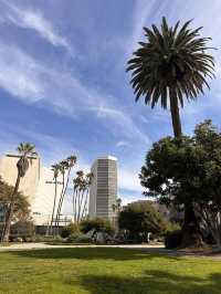 A beautiful park in Miracle Mile 