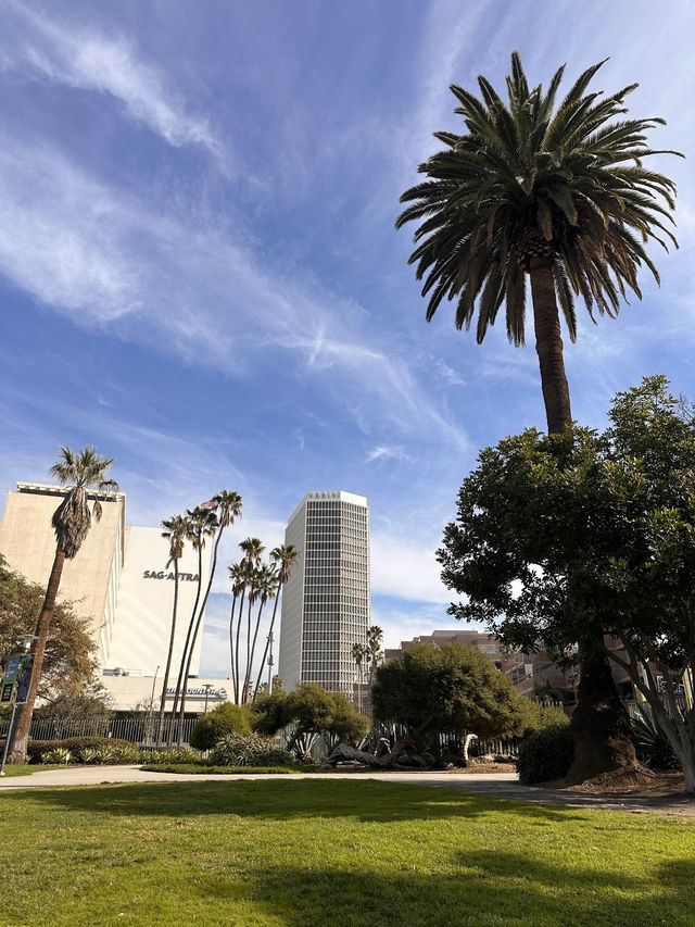 A beautiful park in Miracle Mile 