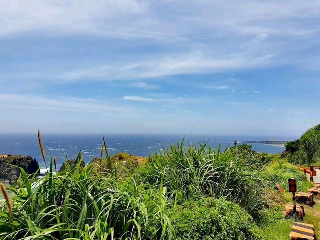 海參坪