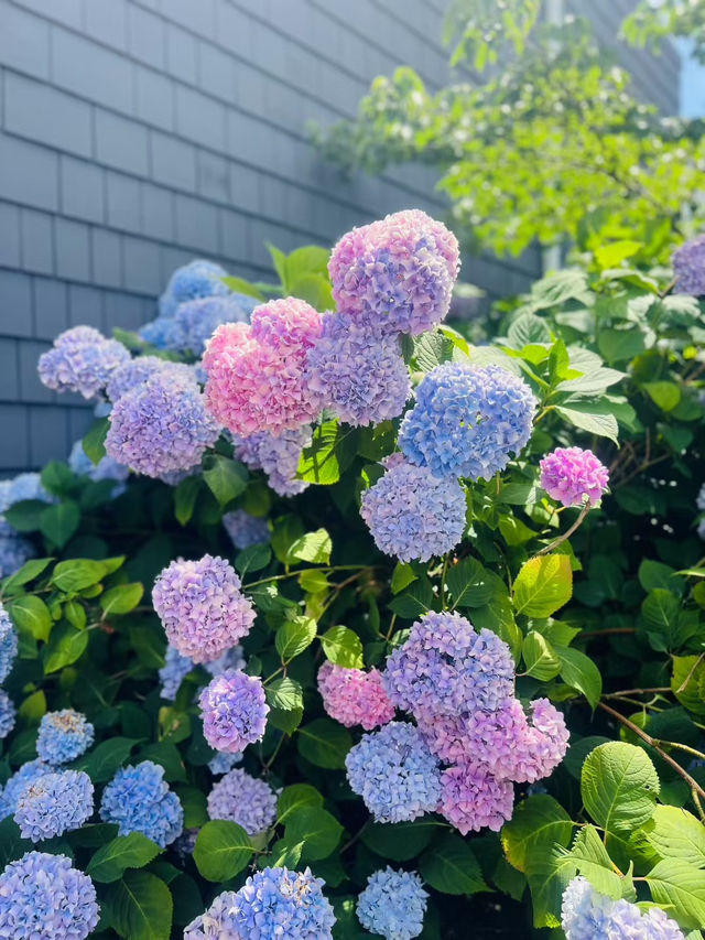 寧靜的天空 高質生活 