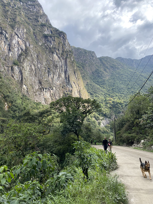 Exploring Machu Picchu on a Budget: Cusco to Aguas Calientes Adventure 🚶‍♂️🌄