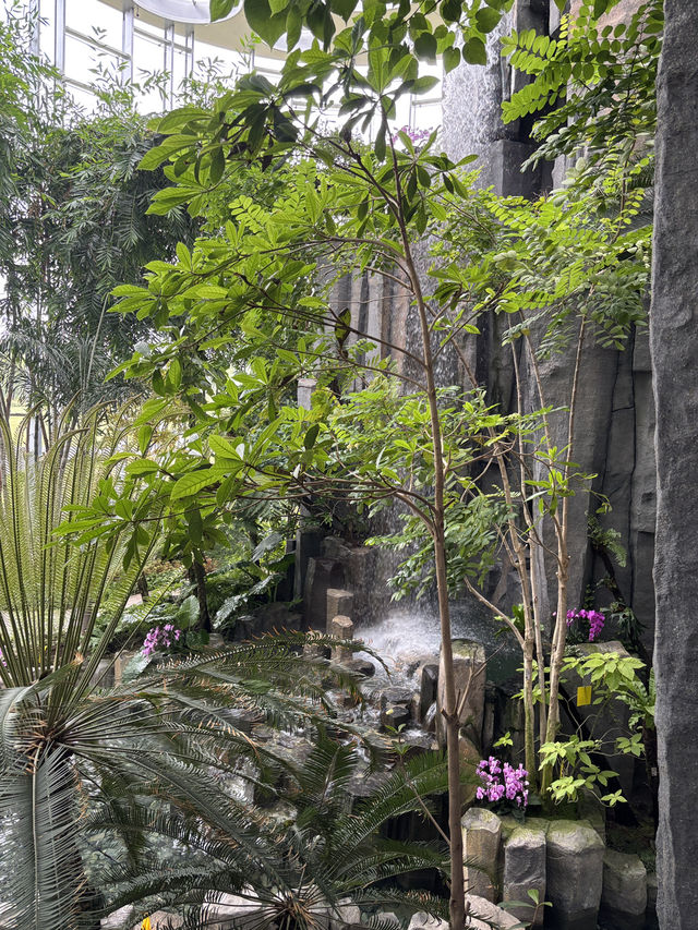 Shanghai Greenhouse Garden