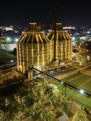 Magnolia at Christmas Time