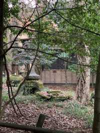 Yufuin at Fukuoka Japan 🍁🍂